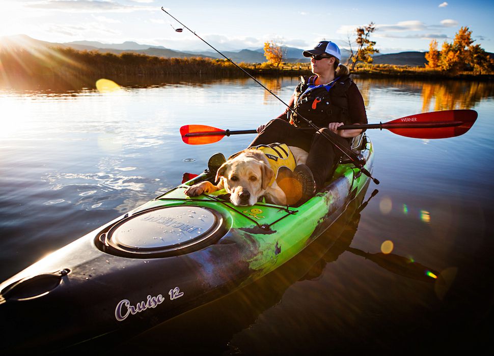 The Essential Buyer’s Guide for Dog Kayaks Reviews of Top10 kayaks